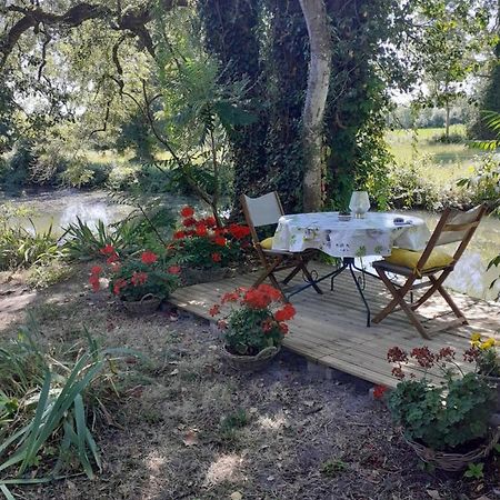 Gite " Jardin Peyrona" Visite Zoo Beauval Et Chateaux De Loire Beaulieu-lès-Loches 외부 사진
