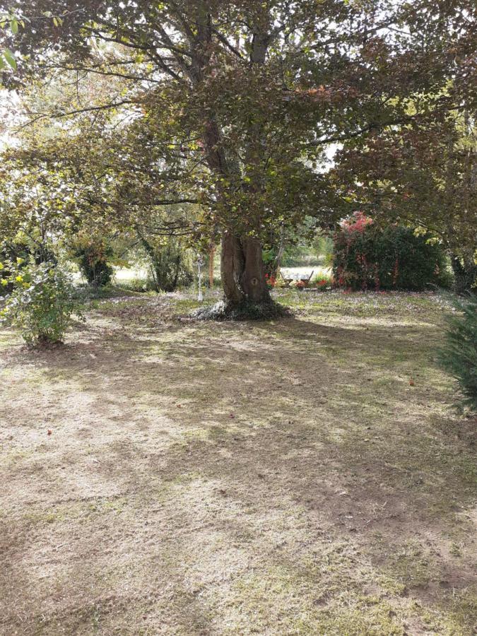 Gite " Jardin Peyrona" Visite Zoo Beauval Et Chateaux De Loire Beaulieu-lès-Loches 외부 사진