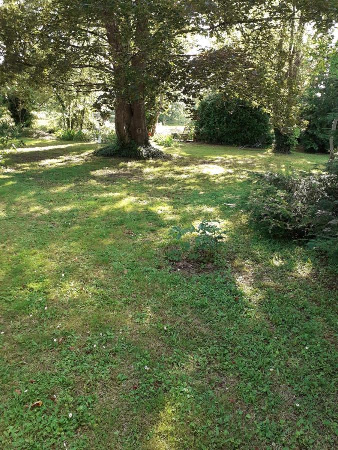 Gite " Jardin Peyrona" Visite Zoo Beauval Et Chateaux De Loire Beaulieu-lès-Loches 외부 사진