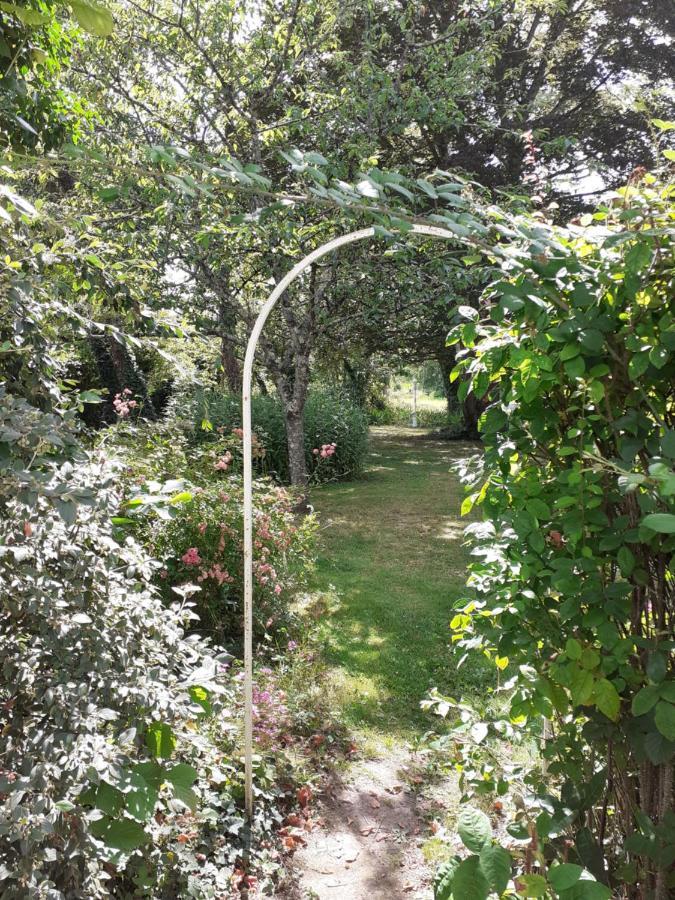 Gite " Jardin Peyrona" Visite Zoo Beauval Et Chateaux De Loire Beaulieu-lès-Loches 외부 사진