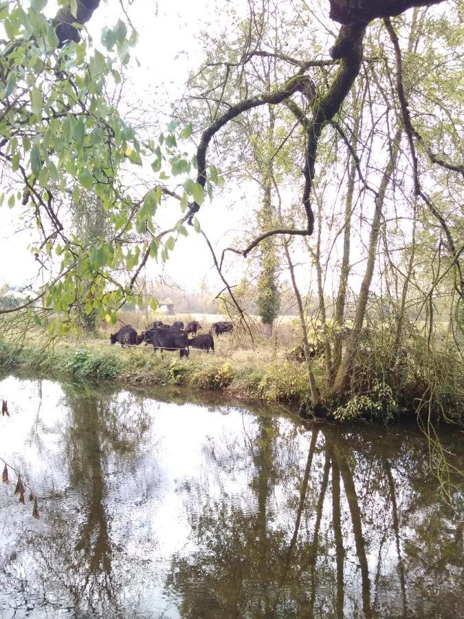 Gite " Jardin Peyrona" Visite Zoo Beauval Et Chateaux De Loire Beaulieu-lès-Loches 외부 사진