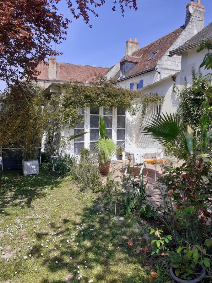 Gite " Jardin Peyrona" Visite Zoo Beauval Et Chateaux De Loire Beaulieu-lès-Loches 외부 사진